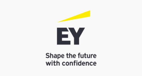 EY - netnex CFO series partner