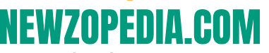 CFO StraTech Newzopedia Partner